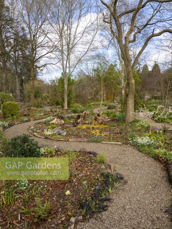 Les allées sinueuses du jardin Picton sont bordées de rondins de bois donnant un aspect boisé naturel.