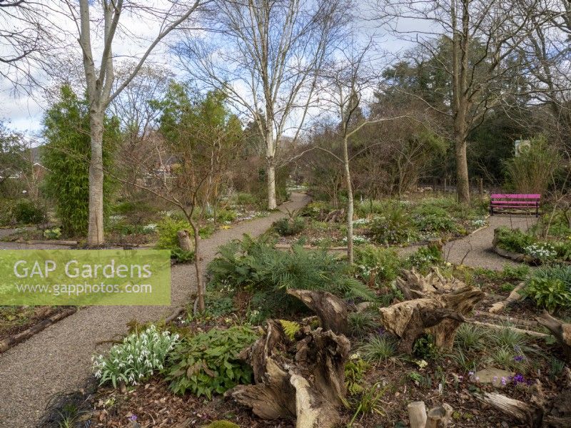 Les allées sinueuses du jardin Picton sont bordées de rondins de bois donnant un aspect boisé naturel.