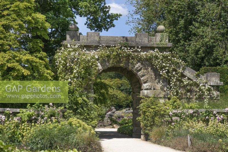 Maze Gate parée de rosiers grimpants à Chatsworth - Juin