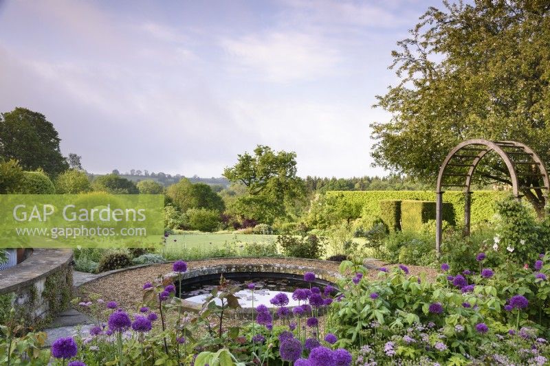 Jardin de roses en terrasse formel avec étang circulaire et beaucoup d'Allium 'Purple Sensation' en mai.