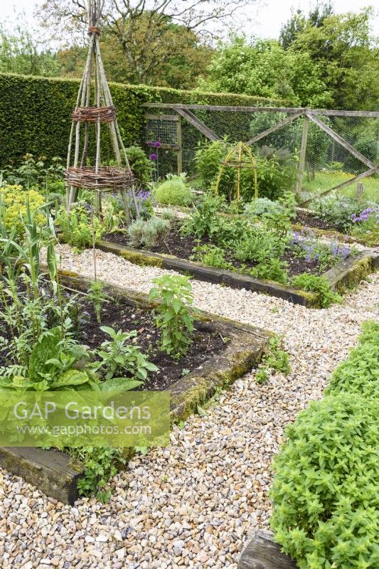 Jardin potager avec bordures végétales surélevées d'herbes et supports de plantes en saule et noisetier.