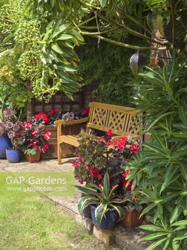 Pavillon de jardin avec banc en bois orné et plantes en pot