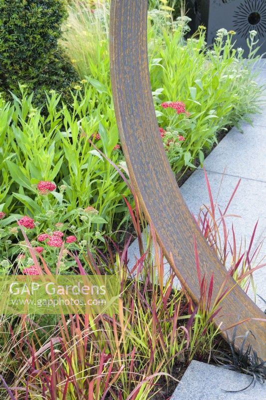 Plantation d'herbes imperata cylindrica 'Red Baron' avec détail de moongate en acier Corten - Sunburst Garden, RHS Hampton Court Palace Garden Festival 2022