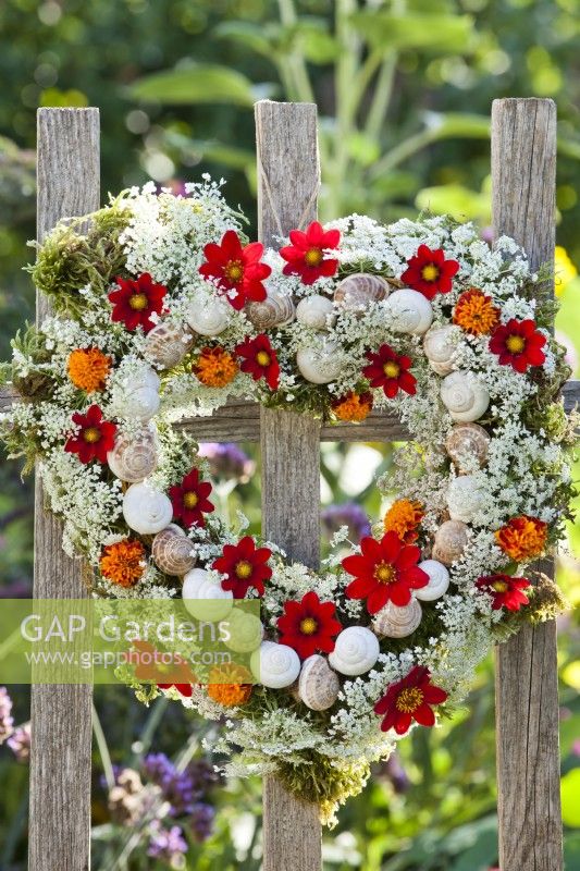 Heart shaped wreath made of snail shells, dahlia, French marigold and wild carrots.