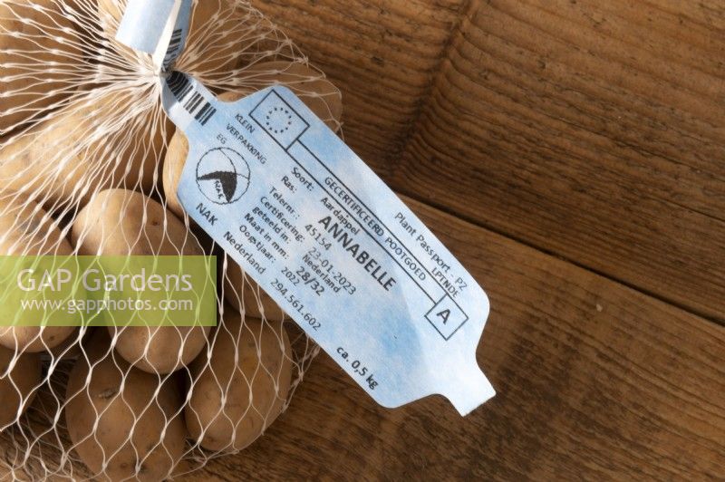 Étiquette du passeport phytosanitaire de l'UE en néerlandais sur un sac de solanum tuberosum 'Annabelle' de pommes de terre de semence. Une telle certification est requise pour le transport dans l'UE de certaines plantes et semences afin de pouvoir en retracer l'origine.