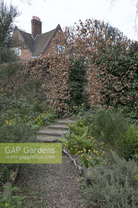 Le jardin d'hiver des jardins botaniques de Winterbourne - mars