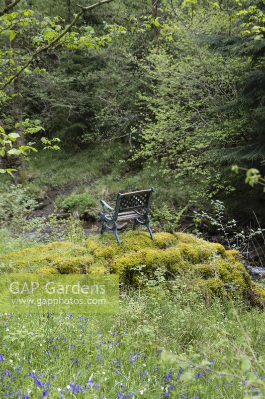 Chaise placée sur un monticule couvert de mousse près du ruisseau. Peut.