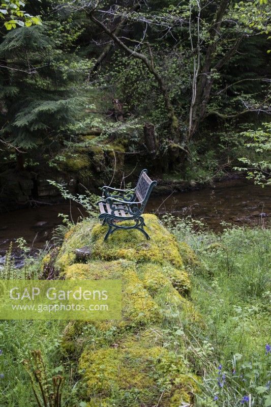 Chaise placée sur un monticule couvert de mousse près du ruisseau. Peut.