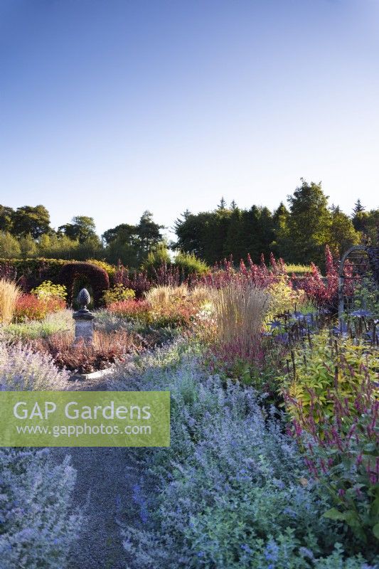 Chemin à travers la bordure de Nepeta 'Six Hills Giant' à Whitburgh Walled Garden en septembre avec plantation de graminées ornementales et de plantes vivaces herbacées.