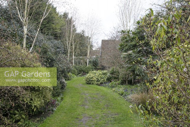 Le jardin d'hiver des jardins botaniques de Winterbourne - avril