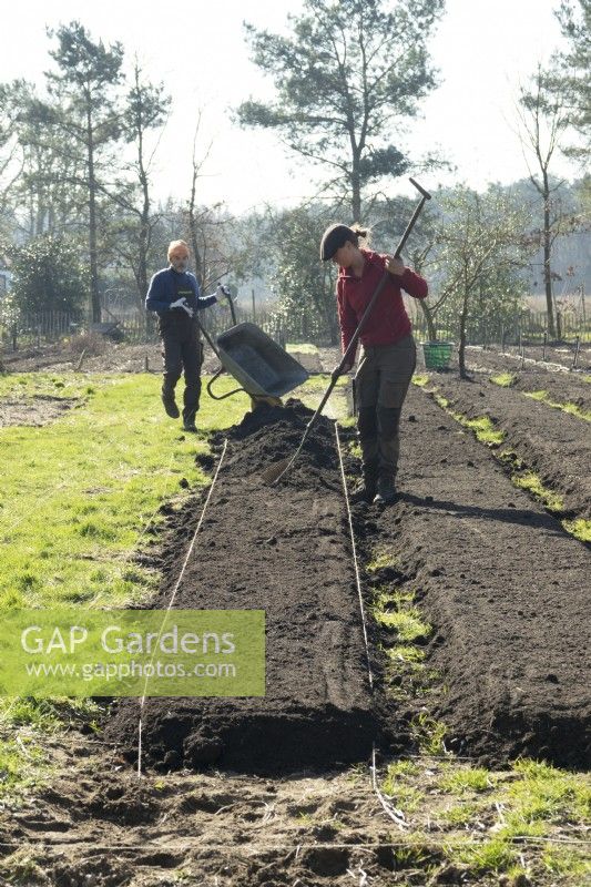Femme et homme avec une brouette préparant un jardin maraîcher sans creuser avec de la terre.