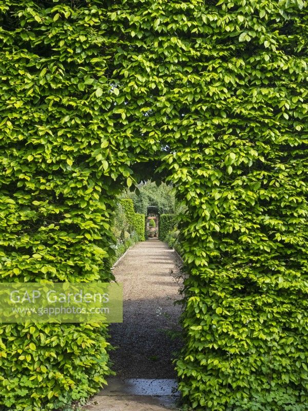 Passage de charme à East Ruston Old Vicarage Gardens, Norfolk Mai Printemps