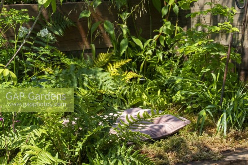 Un coussin informel parmi les fougères - Beautiful Flowerbeds A Shared Chrysalis - BBC Gardeners' World Live 2023, Birmingham NEC - Designer Rachel Wells