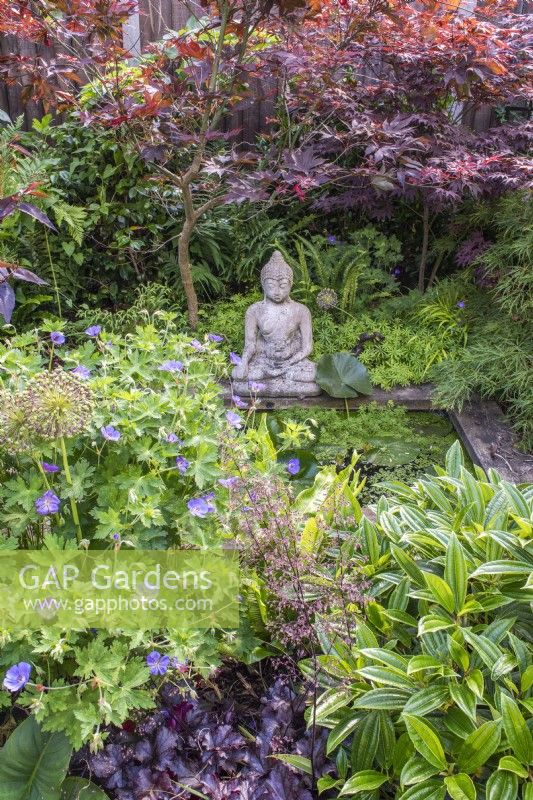 Petite piscine formelle avec nénuphars ; Bouddha en pierre et bordé d'acers, de géraniums, de plantes à feuilles persistantes et aimant l'ombre