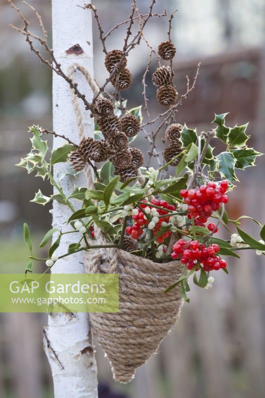 Bouquet d'hiver comprenant une rose de Gueldre et du gui avec des baies, des brindilles de mélèze avec des cônes et du feuillage d'ilex dans un pot en corde suspendu fait maison.