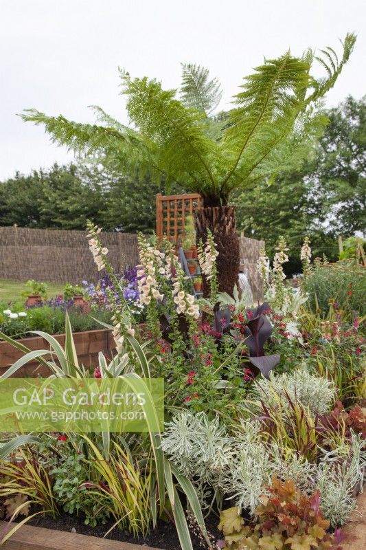 Plantes vivaces mélangées dans 'Enveloppé dans la nature' - Magnifiques parterres de fleurs - BBC Gardener's World Live 2018