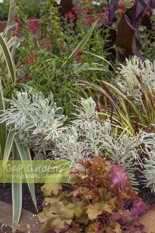 Feuillage dans 'Enveloppé dans la nature' - Magnifiques parterres de fleurs - BBC Gardener's World Live 2018