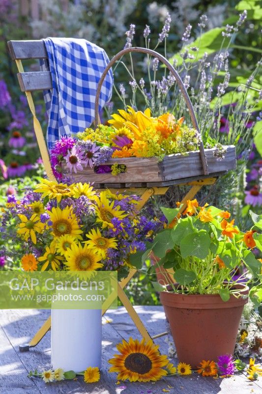 Bouquet d'été avec tournesols et fleurs sauvages dans un vase en émail, capucine cultivée en pot et trug d'herbes, fleurs médicinales et comestibles sur la chaise.