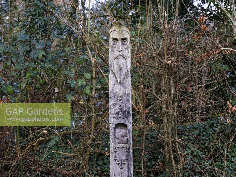 Totem sculptural en bois représentant le mythique Homme vert au RHS Rosemoor en février. 