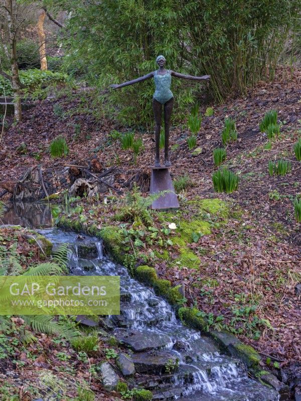 Sculpture en bronze d'une nageuse au bord d'un ruisseau au Rosemore RHS Garden dans le Devon, février. 