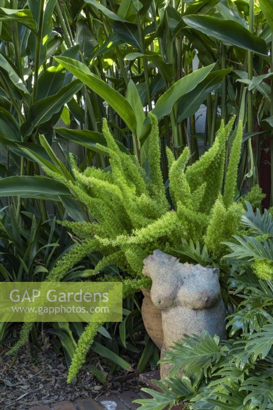 Détail d'angle d'un jardin subtropical ombragé comprenant une fougère sétaire en pot, Heliconia et Philodendron, Xanadu. et une sculpture en céramique représentant une femme nue. 
