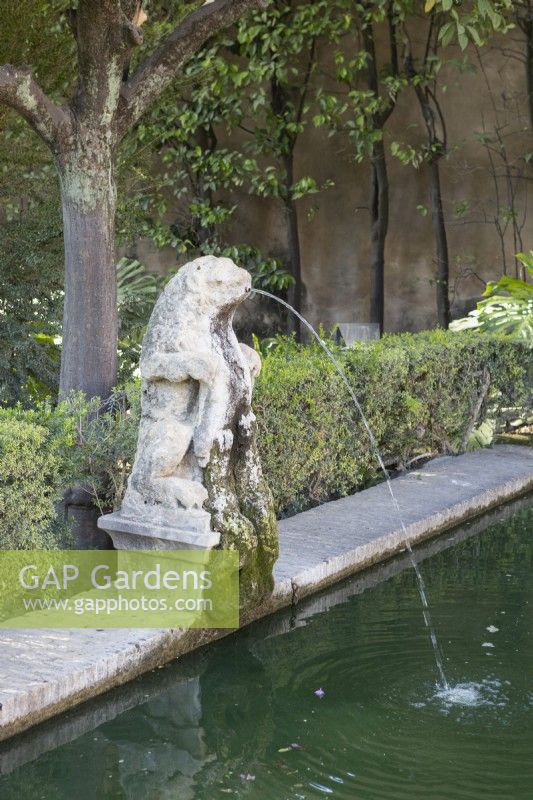 Une vieille sculpture de lion déverse de l'eau dans une piscine dans les jardins du palais du Real Alcazar, à Séville. Espagne. Septembre. 