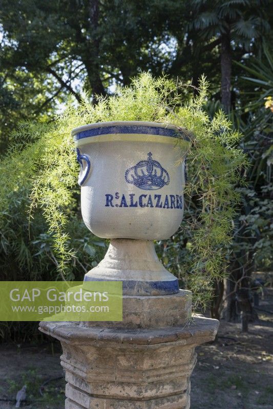 Des urnes vitrées se trouvent partout dans les jardins du palais. Jardins du véritable palais de l'Alcazar, Séville. Espagne. Septembre. 