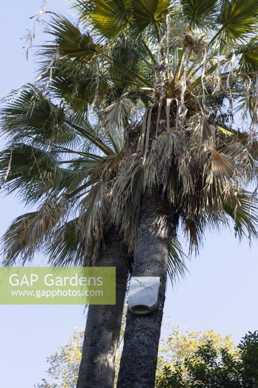 Une boîte à chauves-souris sur le tronc d'un palmier dans le Parque de Maria Luisa, Séville, Espagne. Septembre 