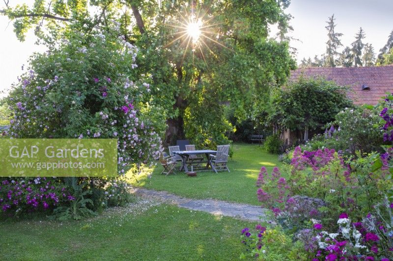 Jardin campagnard avec grande pelouse avec salon de jardin en bois sous un arbre mature. À gauche se trouve un rosier grimpant et à droite un parterre mixte de plantes vivaces. 
