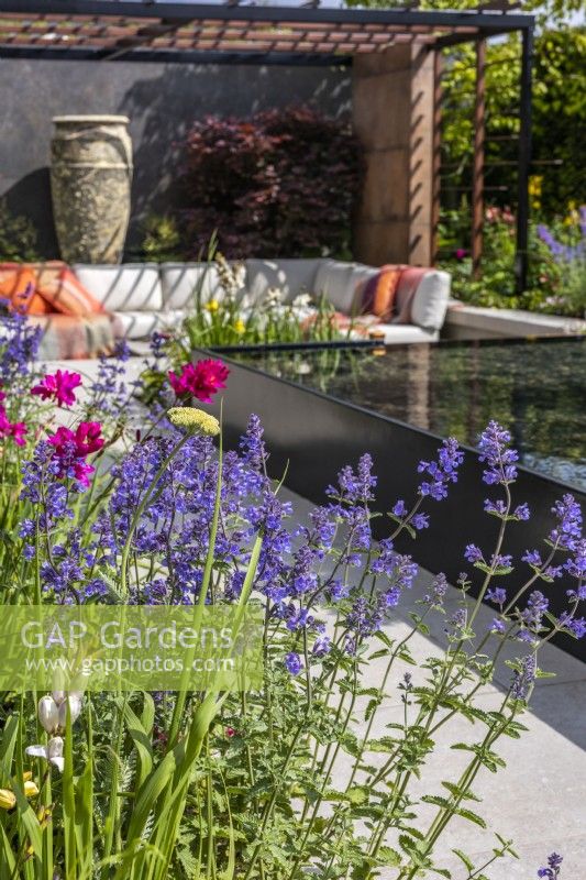 Parterre de fleurs vivaces planté de Nepeta et d'Ixia dans un jardin moderne avec plan d'eau. Créateur : Kevin Dennis, Bord Bia Bloom 2023 