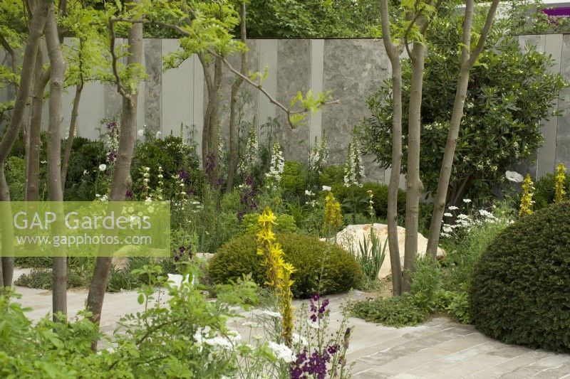 RHS Chelsea Flower Show 2023 - Parterres de fleurs avec plantation de plantes vivaces parmi les arbres Gleditsia - Jardin de transcendance Memoria et GreenAcres conçu par Gavin McWilliam et Andrew Wilson Argent doré 