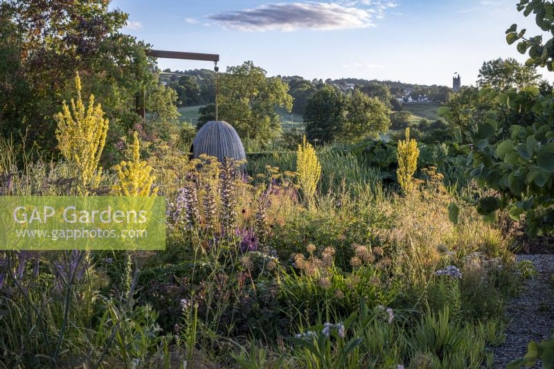 Le siège « œuf » en chêne courbé à la vapeur du Chelsea Flower Show 2021 occupe une place centrale dans le jardin sec, parmi le Verbascum olympicum et d'autres plantes vivaces des Holt Farm Gardens, Somerset. 