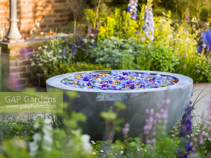 Bol d'eau avec fleurs flottantes de Delphinium. The Savills Garden, Designer : Mark Gregory, RHS Chelsea Flower Show 2023, mai, printemps, été 