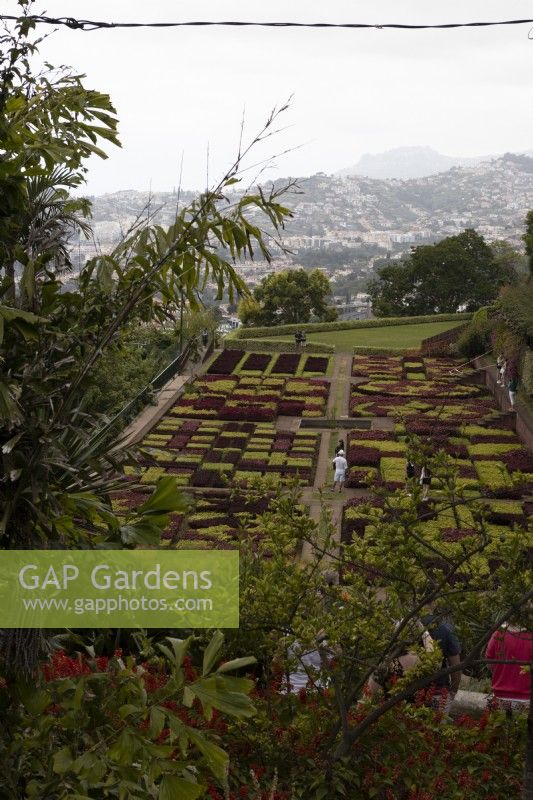 Une vue sur les célèbres haies à carreaux du jardin botanique de Madère, avec des vues lointaines sur Funchal en arrière-plan. Été. 