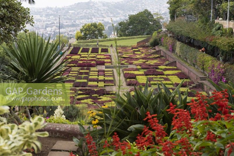 Une vue sur les célèbres haies à carreaux du jardin botanique de Madère, avec des vues lointaines sur Funchal en arrière-plan. Été. 