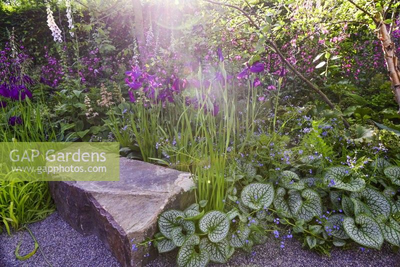 Large stone seat surrounded by plants: Brunnera macrophylla 'Sea Heart', Iris ensata 'Oase', Rodgersia pinnata 'Snow Clouds'. June
Bord Bia Bloom, Dublin
Designer: Jane McCorkell
