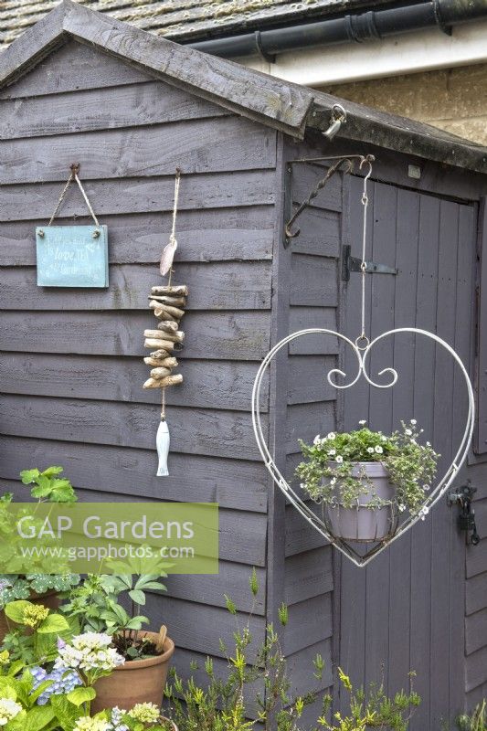 Bacopa monnieri annuel blanc - Bacopa dans un cadre en métal en forme de cœur. Abri de jardin en bois décoré d'une pancarte « Tout ce dont vous avez besoin est d'amour, de thé et de jardinage » et d'une décoration suspendue en bois flotté. 