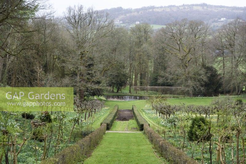 Jardin Rococo de Painswick dans le Gloucestershire au printemps 