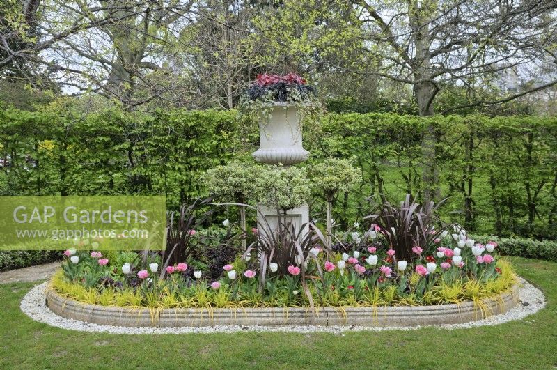 Urne avec des couches décoratives de feuillage rouge, noir et vert au-dessus d'arbres à sucettes plantés de tulipes roses et blanches et de cordyline dans un parterre cylindrique avec bordure en béton, Avenue Gardens, The Regent's Park, Londres, Royaume-Uni 