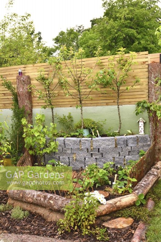 Strawberry bed and  raised bed made of Connemara decorative wall system  in woodland inspired garden surrounded by a wooden planks fence with Pear, June
Designer: Mary Anne Farenden. Bord Bia Bloom, Super Garden, Dublin, Ireland.