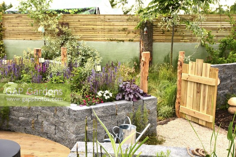 Side of a woodland inspired garden surrounded by a wooden planks fence with raised bed made of stones Connemara wall system. Alongside a open gate leads into a grass area for dogs. Planted with Leucanthemum superbum, Salvia Nemorosa, Pyrus salicifolia, Fuschia. June
Designer: Mary Anne Farenden. Bord Bia Bloom, Super Garden, Dublin


