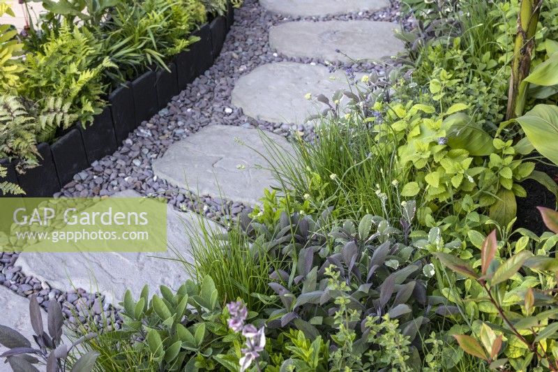 Herb bed with salvia, lemon balm and chives along stone and gravel pathway