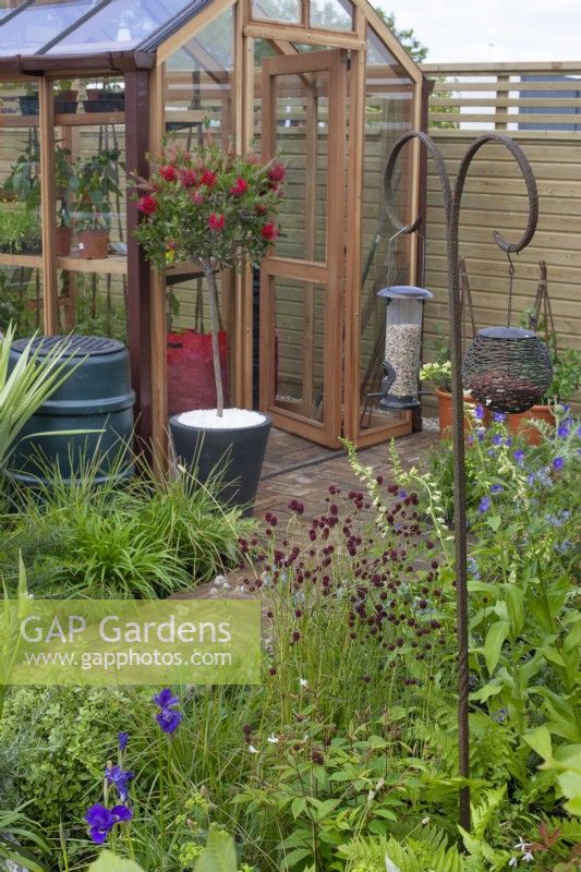 Station d'alimentation des oiseaux parmi les parterres de plantes vivaces dans le jardin « Greener Pastures » du BBC Gardener's World Live 2015, juin 