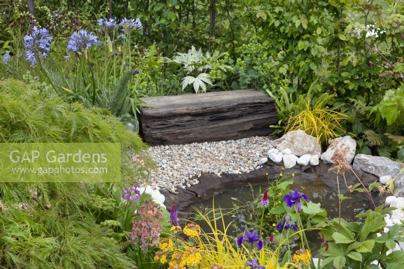 Small pond bordered by bed of perennials such as primula, iris, rodgersia, acer palmatum and agapantus in the 'Greener Pastures' garden at BBC Gardener's World Live 2015, June