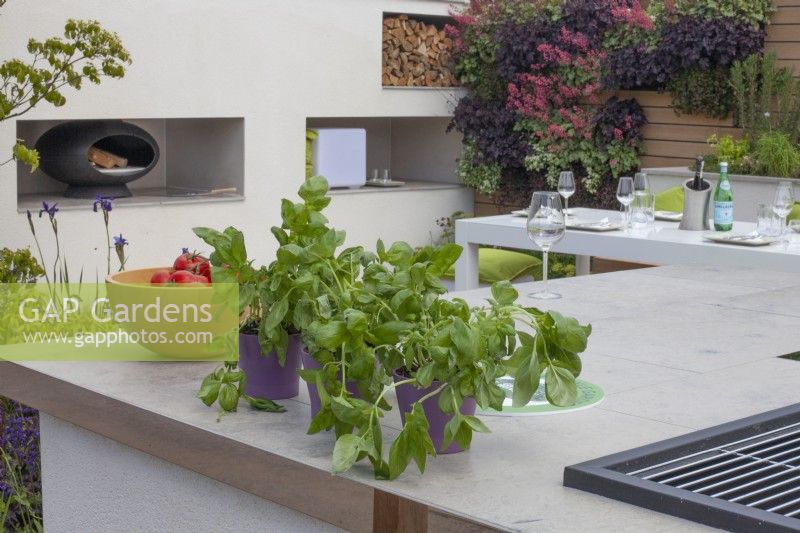 Outdoor kitchen and dining area in the 'Sociability' garden at BBC Gardener's World Live 2015, June