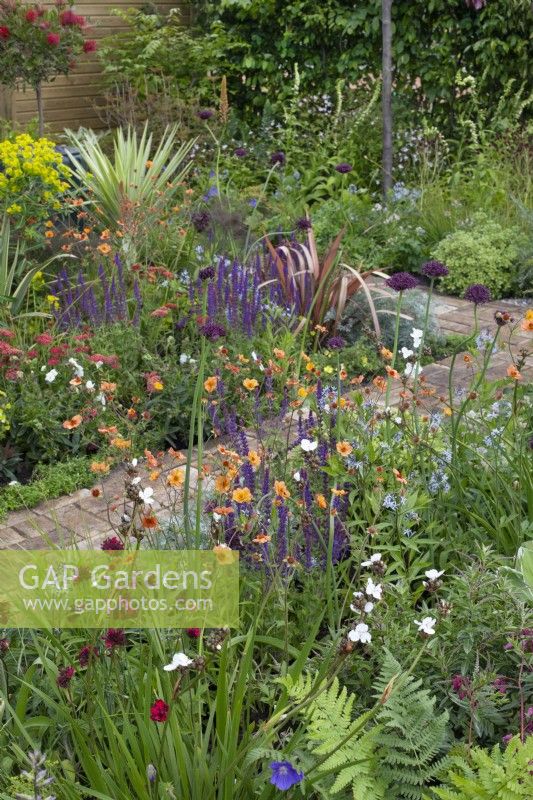 Flowerbeds of perennials such as geum, alliums, and salvia with a brick path running through in the 'Greener Pastures' garden at  BBC Gardener's World Live 2015, June