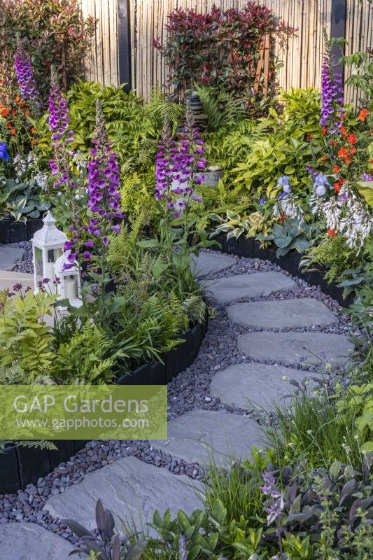 Un chemin de pierres et de graviers entouré de parterres de fleurs plantés de Digitalis purpurea, de fougères et d'hostas. Créateur : Darragh Collopy, Bord Bia Bloom 2023 