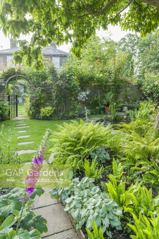 View of a garden path and stepping stones in a lawn leading to an iron gate in a garden wall clothed with roses and clematis. Flowerbed beneath medlar tree filled with ferns, brunnera and foxgloves. June