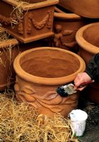 Peinture de yaourts vivants sur une nouvelle livraison de pots en terre cuite pour encourager la croissance rapide des lichens