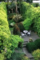Petit jardin de la ville avec de hautes haies Pittosporum et un coin salon surélevé sur une terrasse en bois - Carl St, San Francisco